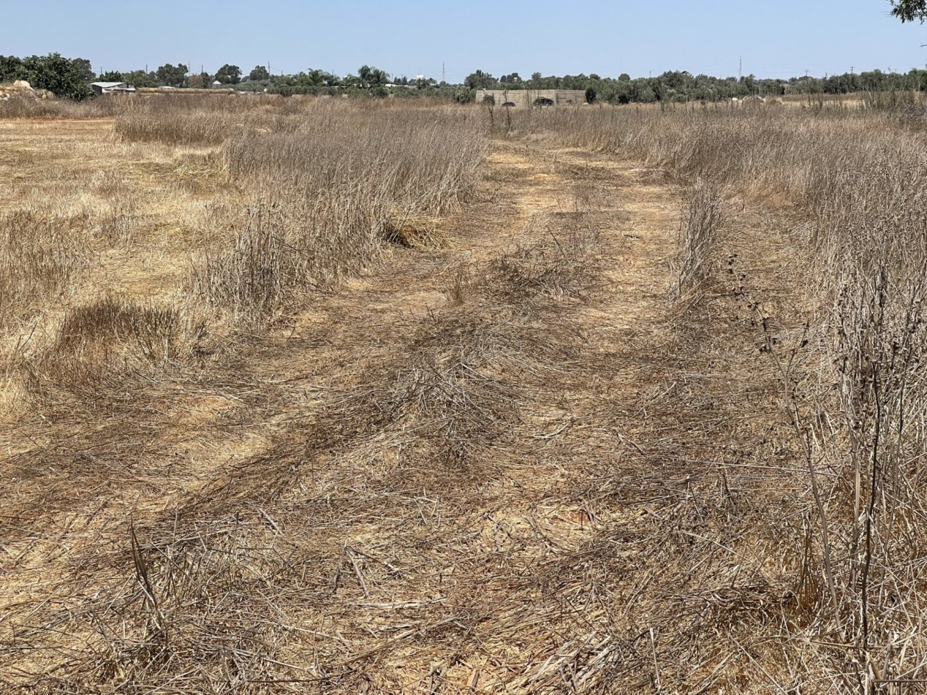 8945m2 Terrain à Liopetri, Ammochostos, Chypre No. 56716