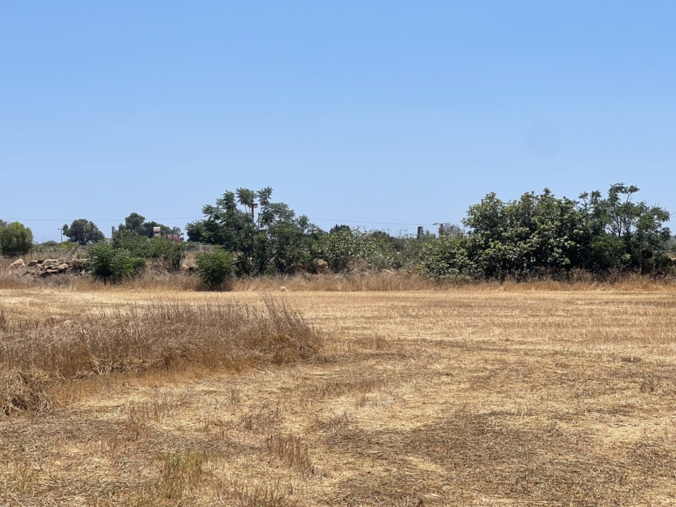 8945m2 Terrain à Liopetri, Ammochostos, Chypre No. 56716