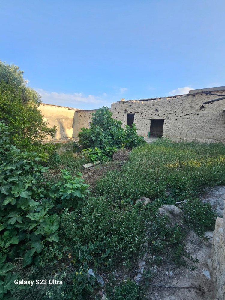 434m2 Land in Tersefanou, Larnaka, Cyprus No. 61875