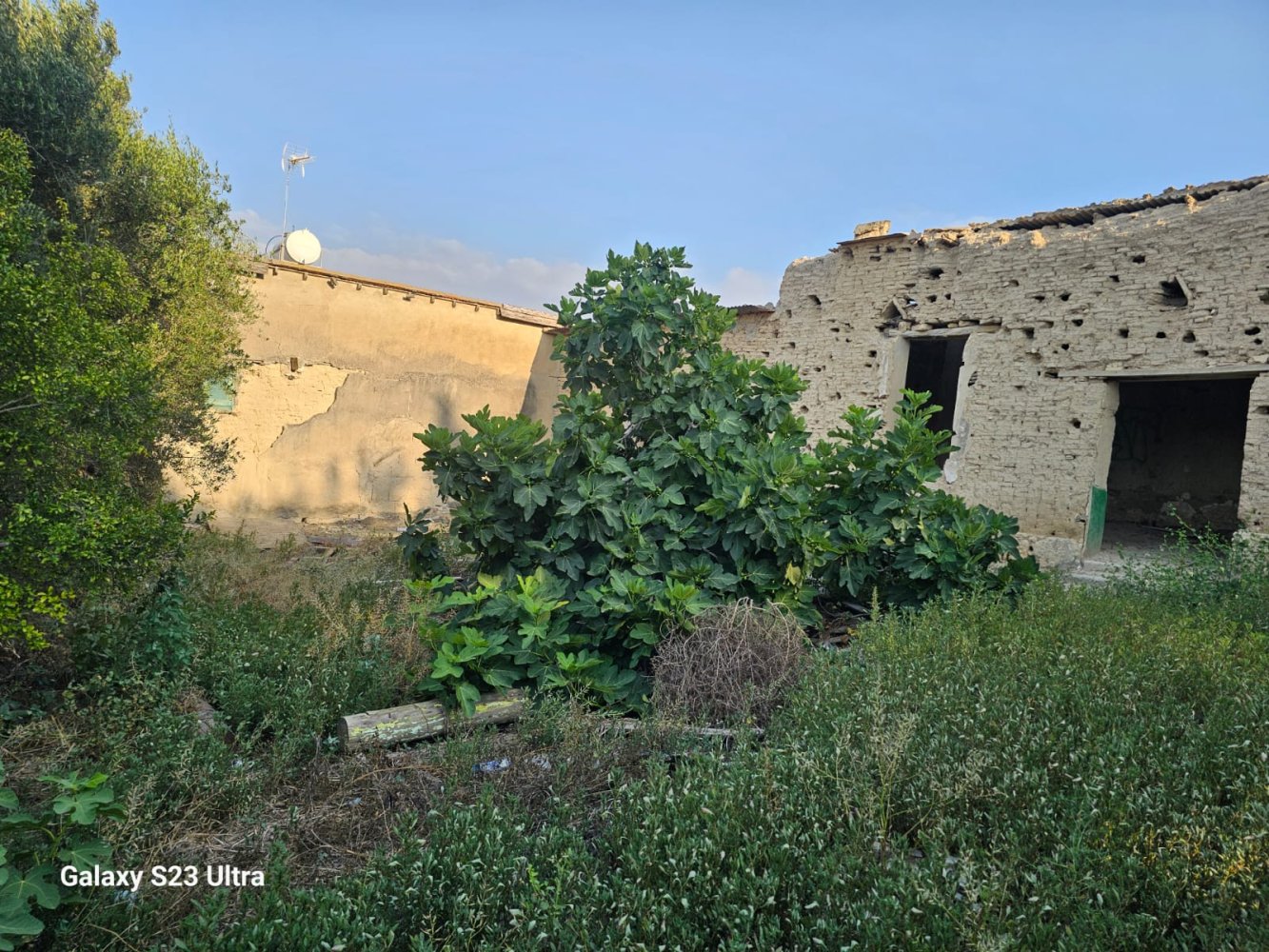 434m2 Land in Tersefanou, Larnaka, Cyprus No. 61875