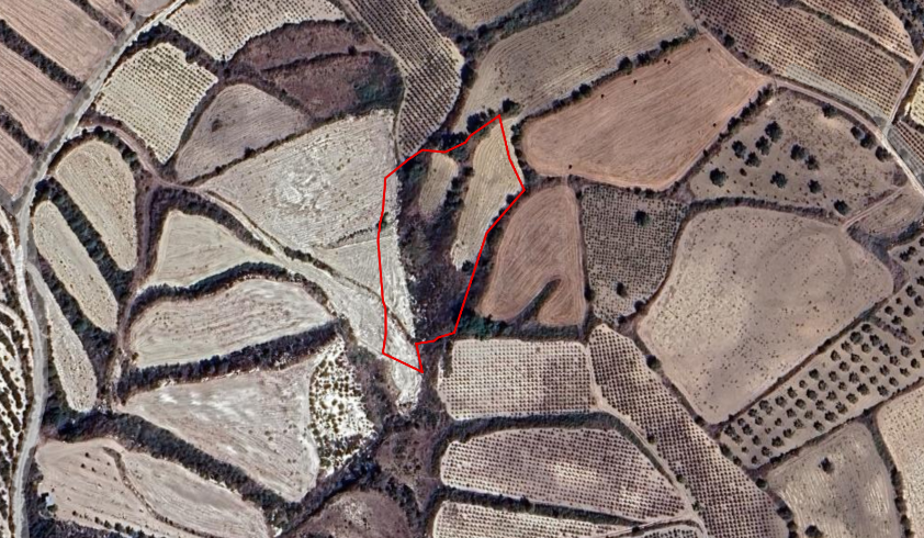 6000m2 Land in Thrinia, Paphos, Cyprus No. 61057