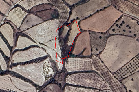 6000m2 Terreno en Thrinia, Paphos, Chipre No. 61057