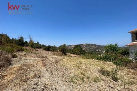 2007m2 Terreno en Peristerona, Paphos, Chipre No. 61144