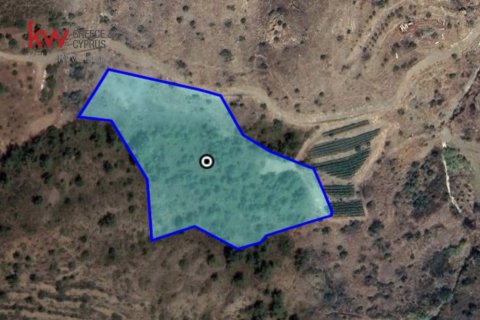 Земельный участок 10368м2 в Мелини, Ларнака, Кипр № 56845