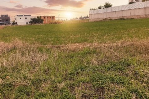 2021m2 Land in Aradippou, Larnaka, Cyprus No. 39829