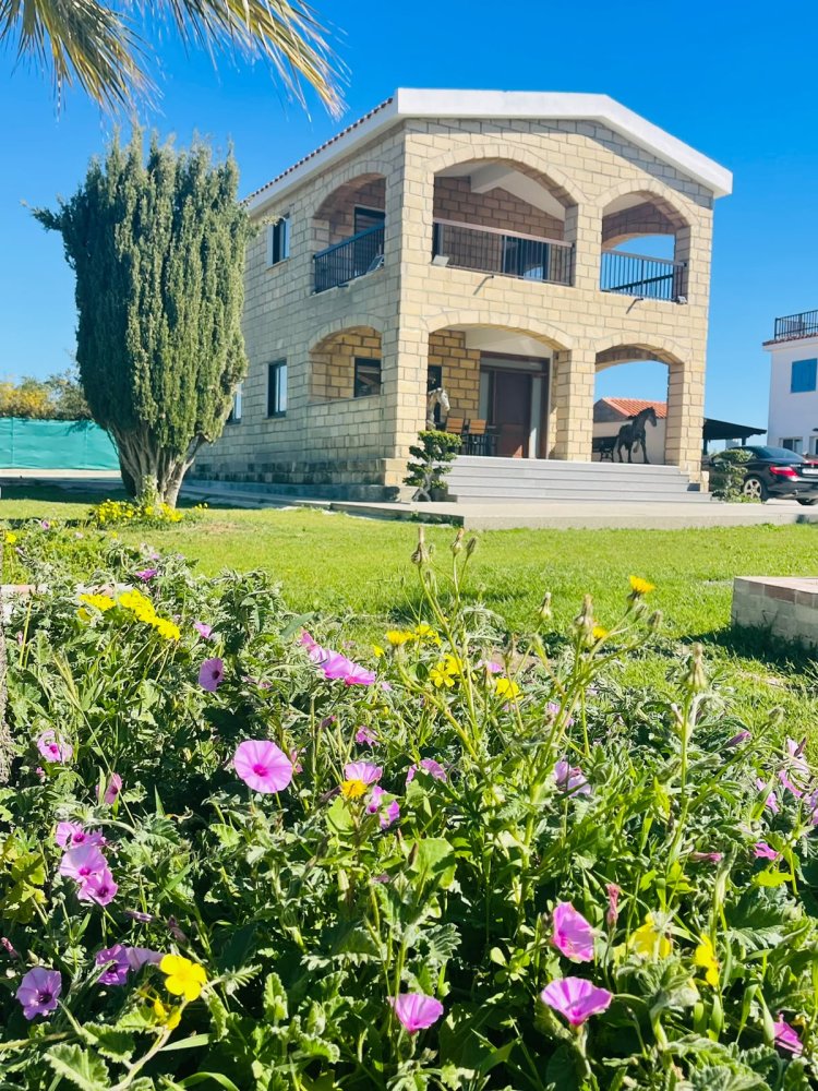 3 bedrooms Villa in Psematismenos, Larnaka, Cyprus No. 61897
