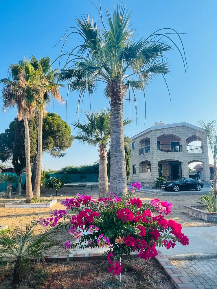 3 bedrooms Villa in Psematismenos, Larnaka, Cyprus No. 61897