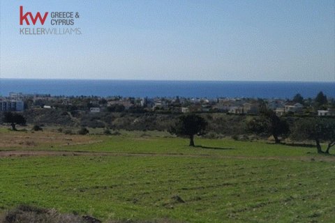 12496m2 Land in Pegeia, Paphos, Cyprus No. 60608