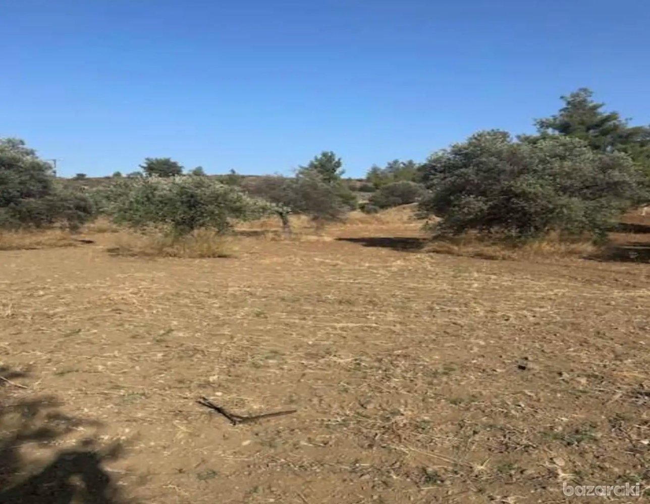837m2 Terreno en Agia Varvara, Nicosia, Chipre No. 62469