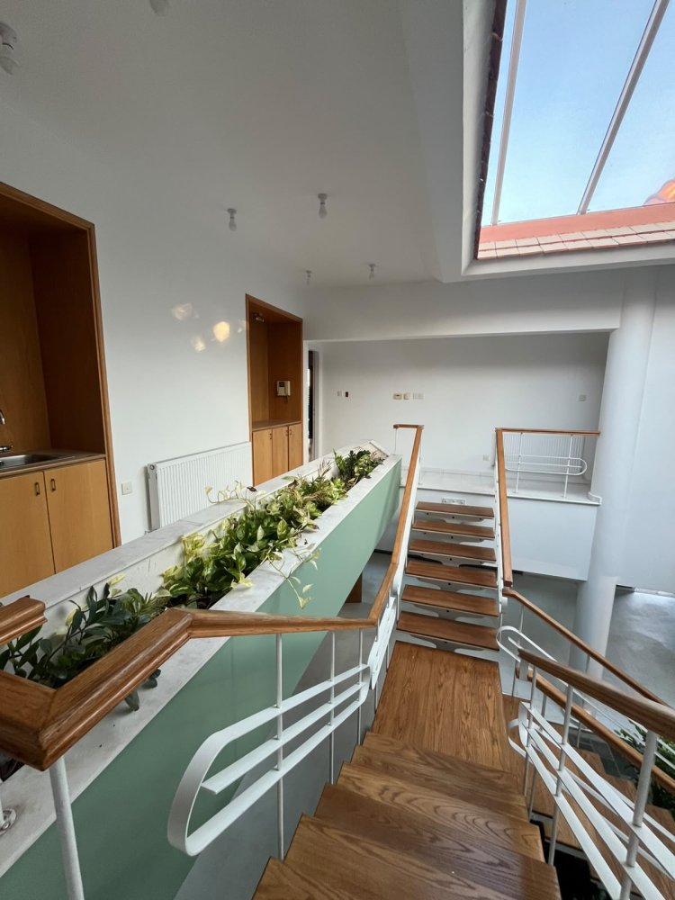 8 habitaciones Local comercial en Limassol, Chipre No. 62256