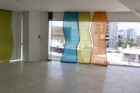 6 rooms Office in Nicosia, Cyprus No. 40138