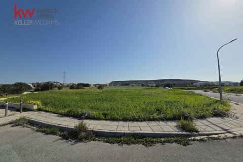 1645m2 Land in Pyla, Larnaka, Cyprus No. 50015