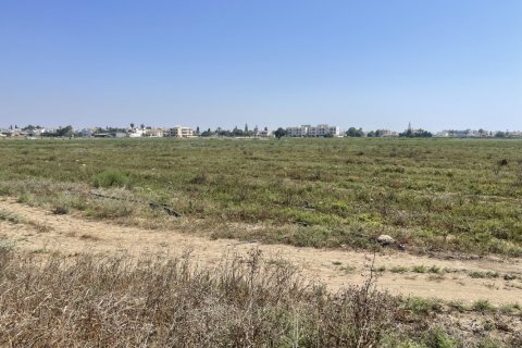 Земельный участок 6252м2 в Перволия, Ларнака, Кипр № 40322