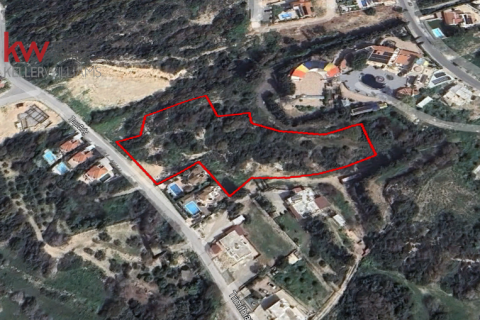 6247m2 Terreno en Tala, Paphos, Chipre No. 60650