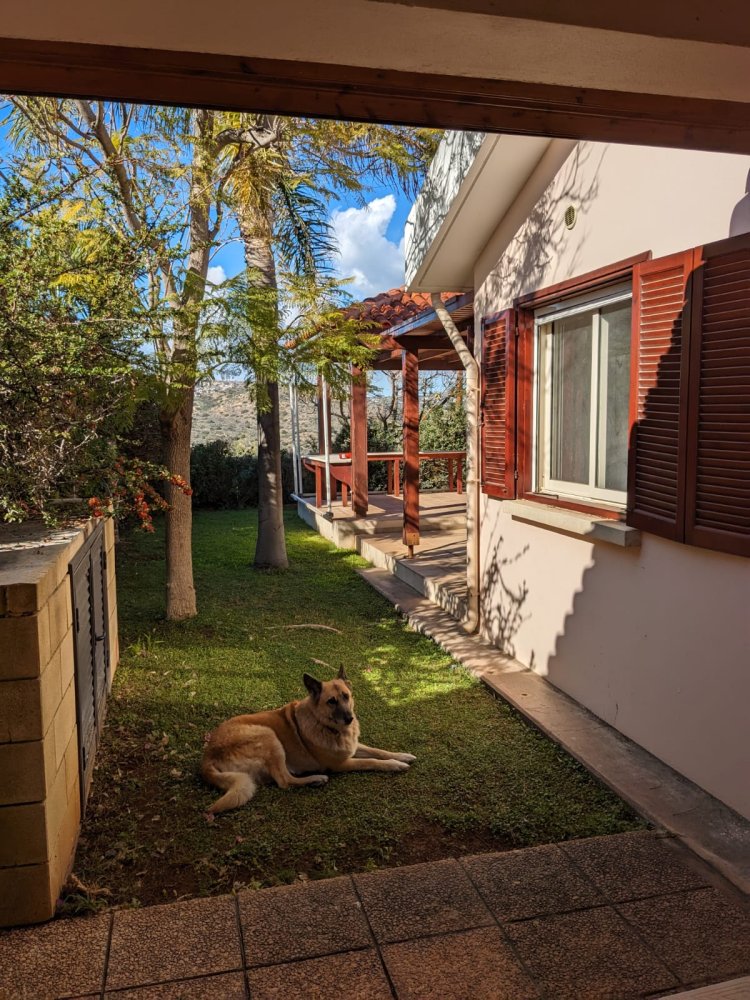 2 bedrooms Bungalow in Pissouri, Limassol, Cyprus No. 61036