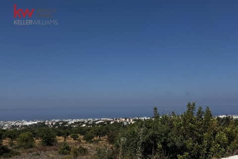 14714m2 Terreno en Paphos, Chipre No. 61238