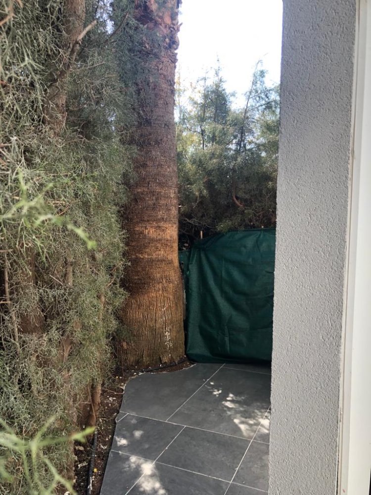 4 chambres Maisonnette à Parekklisia, Limassol, Chypre No. 62273