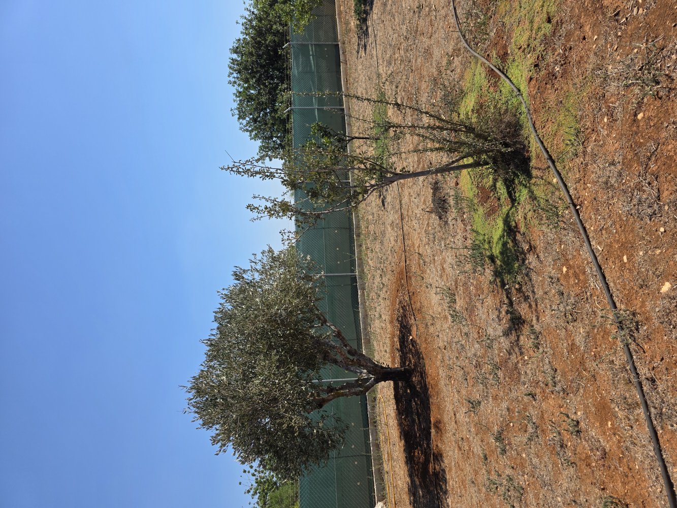 2368m2 Land in Paralimni, Ammochostos, Cyprus No. 61520