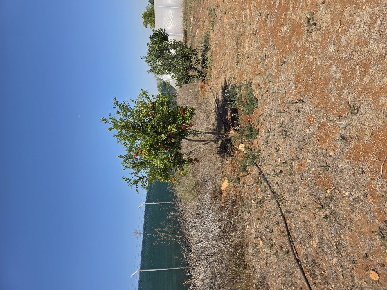 2368m2 Land in Paralimni, Ammochostos, Cyprus No. 61520