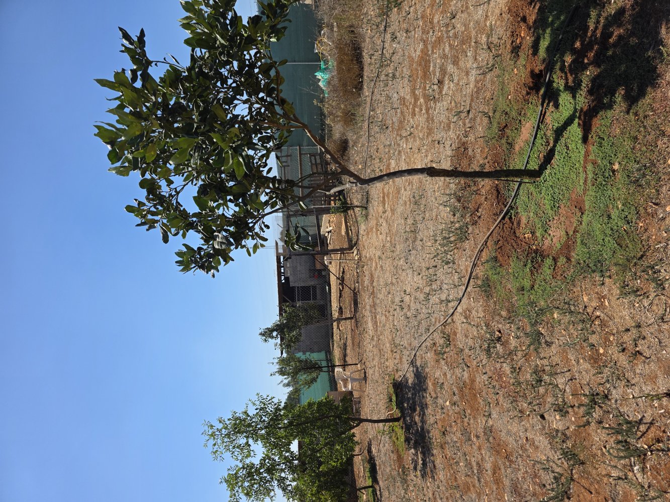 2368m2 Land in Paralimni, Ammochostos, Cyprus No. 61520