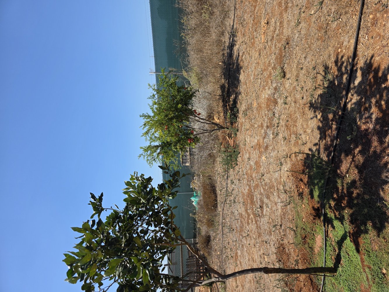 2368m2 Land in Paralimni, Ammochostos, Cyprus No. 61520