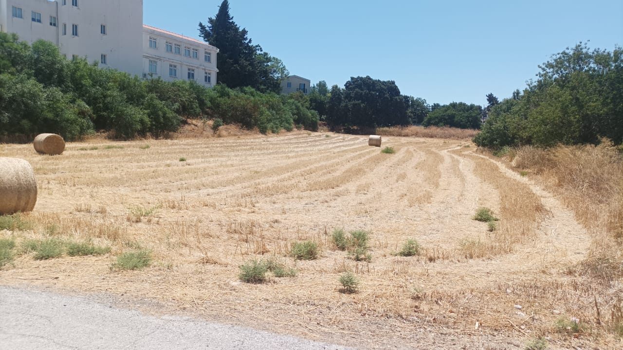 5110m2 Terrain à Polis, Paphos, Chypre No. 61320