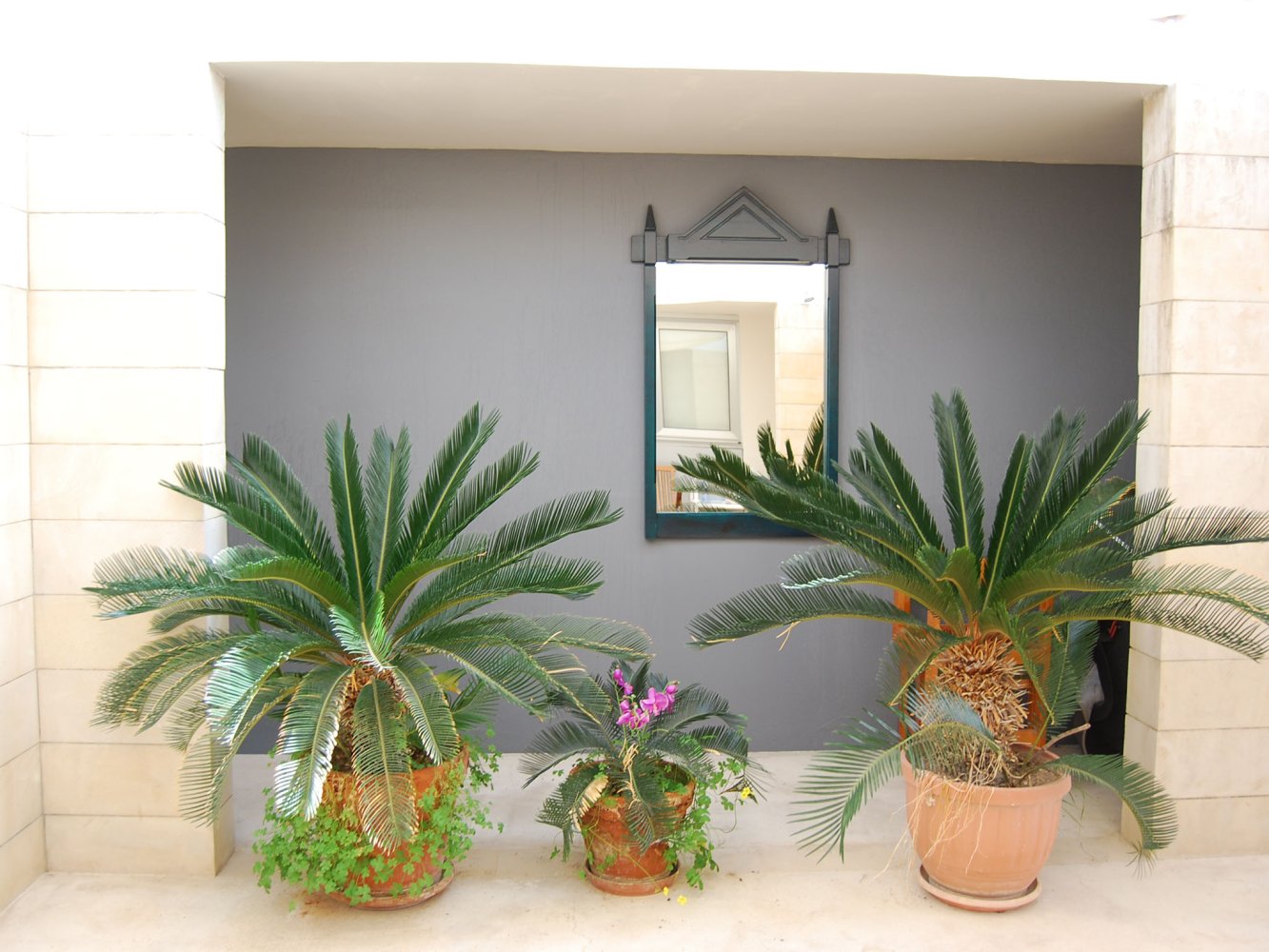 5 bedrooms Villa in Tala, Paphos, Cyprus No. 61169