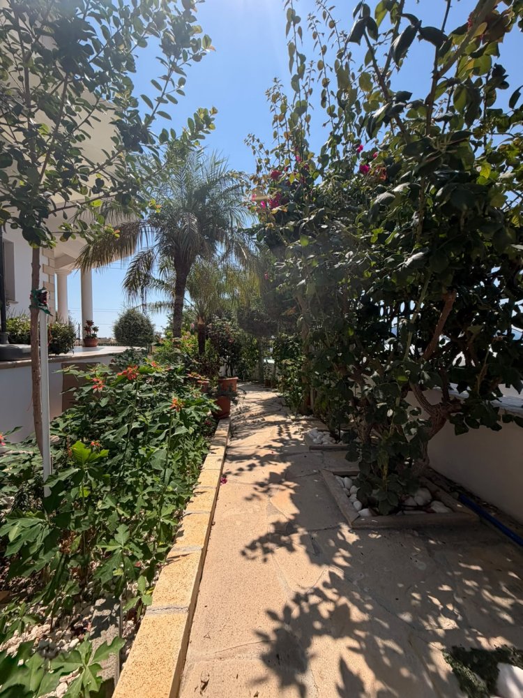 7 bedrooms Villa in Empa, Paphos, Cyprus No. 65494