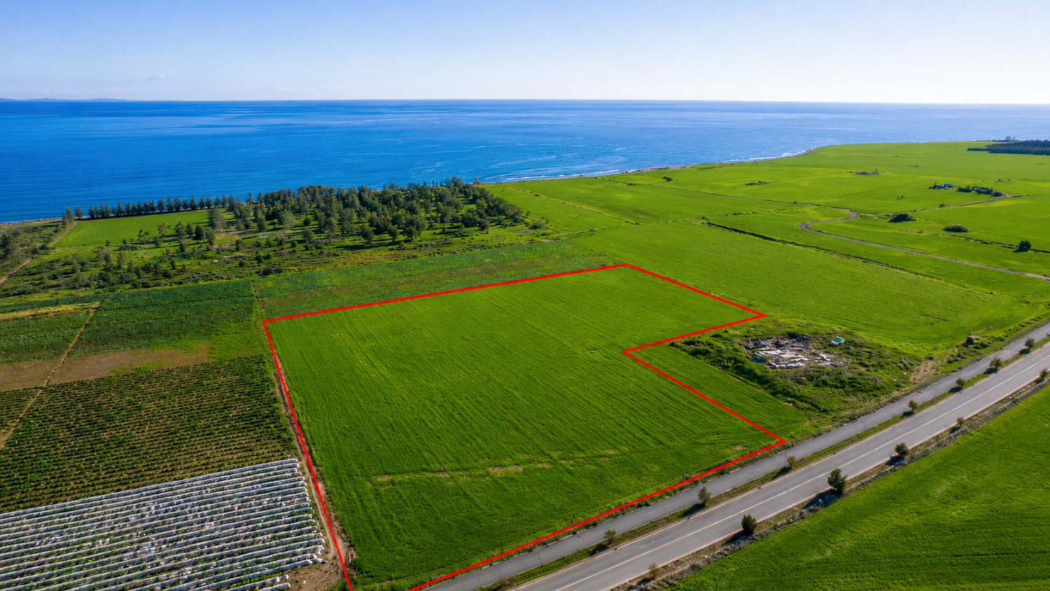 16467m2 Terrain à Softades, Larnaka, Chypre No. 61409