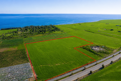 16467m2 Land in Softades, Larnaka, Cyprus No. 61409