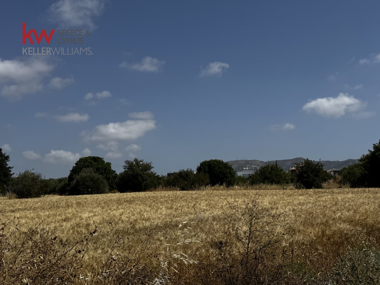 7024m2 Land in Mesogi, Paphos, Cyprus No. 61206