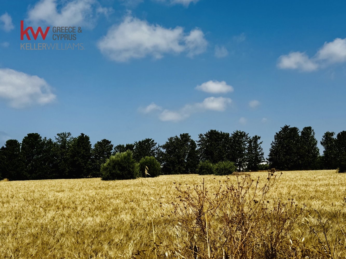7024m2 Land in Mesogi, Paphos, Cyprus No. 61206