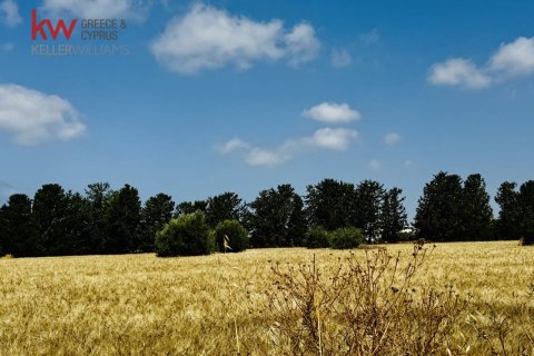 7024m2 Land in Mesogi, Paphos, Cyprus No. 61206