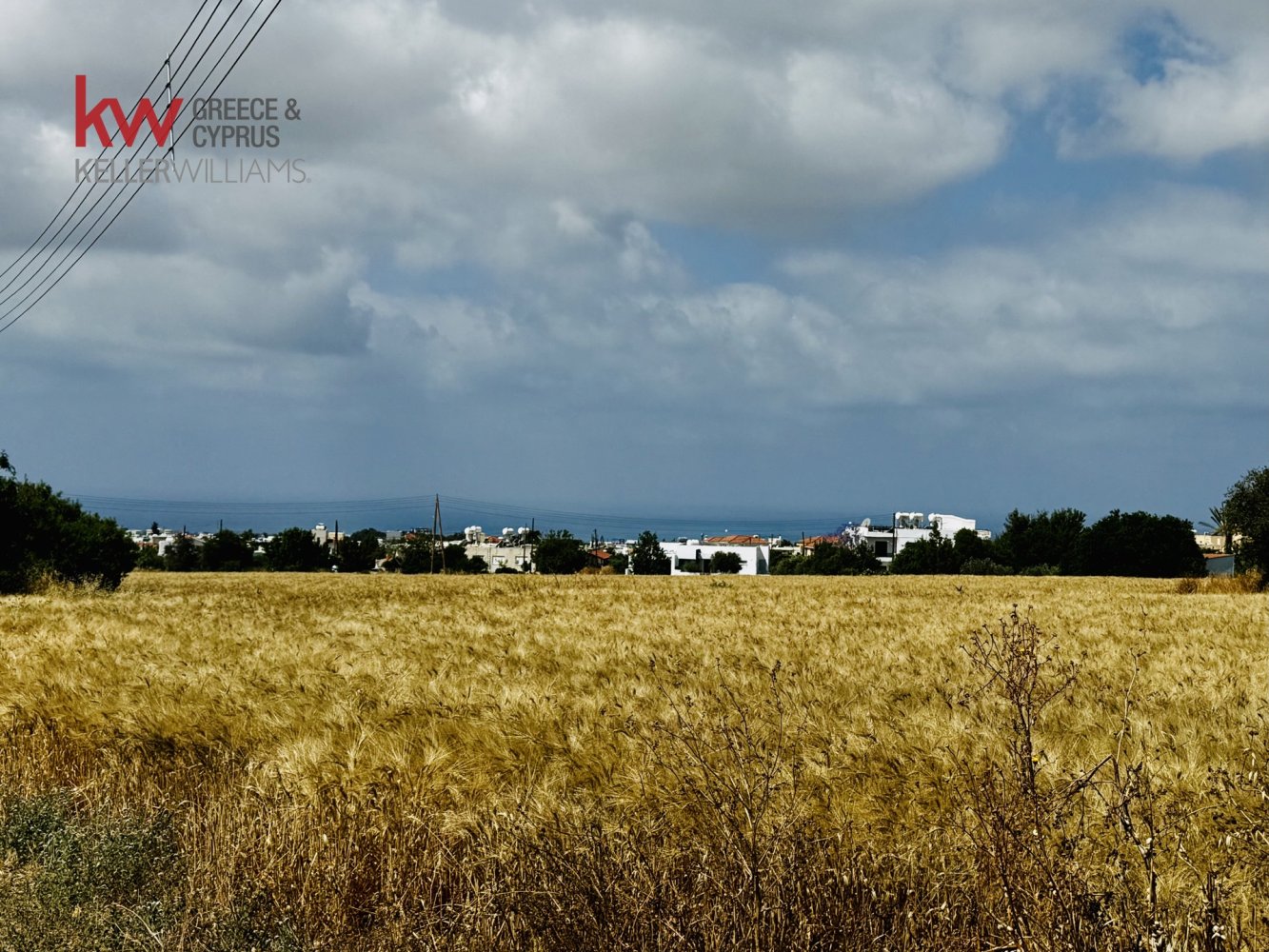 7024m2 Land in Mesogi, Paphos, Cyprus No. 61206