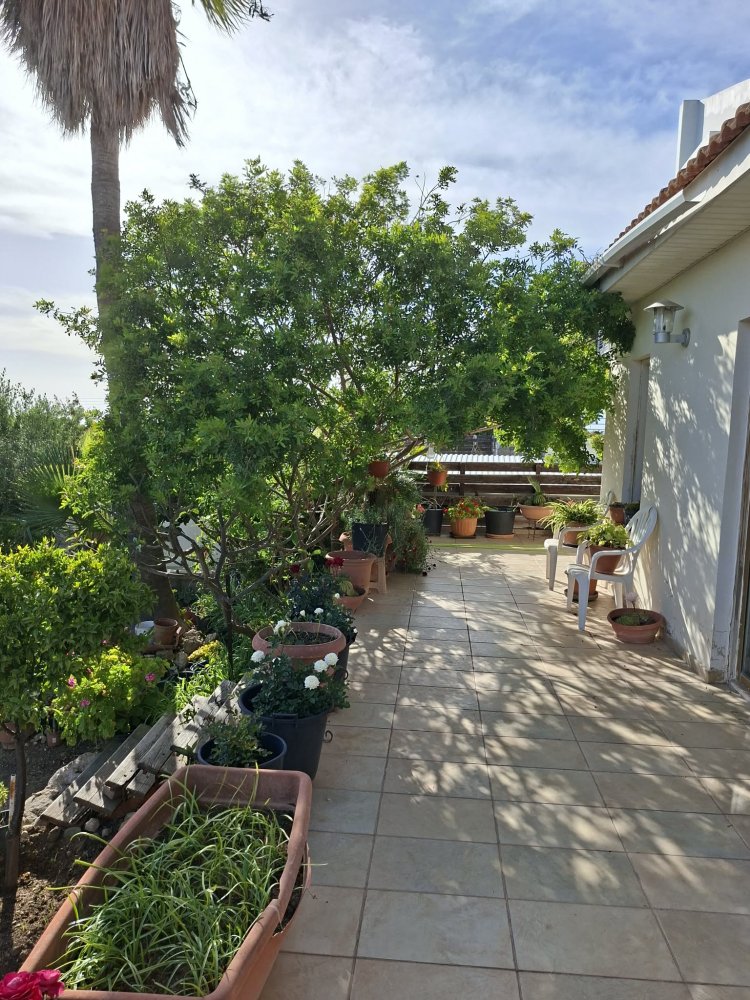 5 bedrooms Villa in Konia, Paphos, Cyprus No. 60306