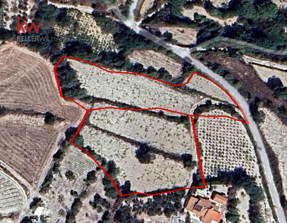 8697m2 Land in Tsada, Paphos, Cyprus No. 60679