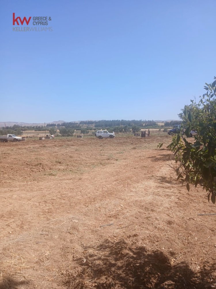 7913m2 Land in Mandria, Paphos, Cyprus No. 61219