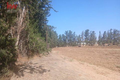 7913m2 Land in Mandria, Paphos, Cyprus No. 61219