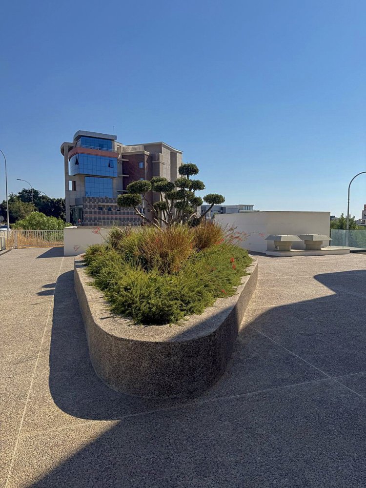 6 rooms Office in Mesa Geitonia, Limassol, Cyprus No. 62335