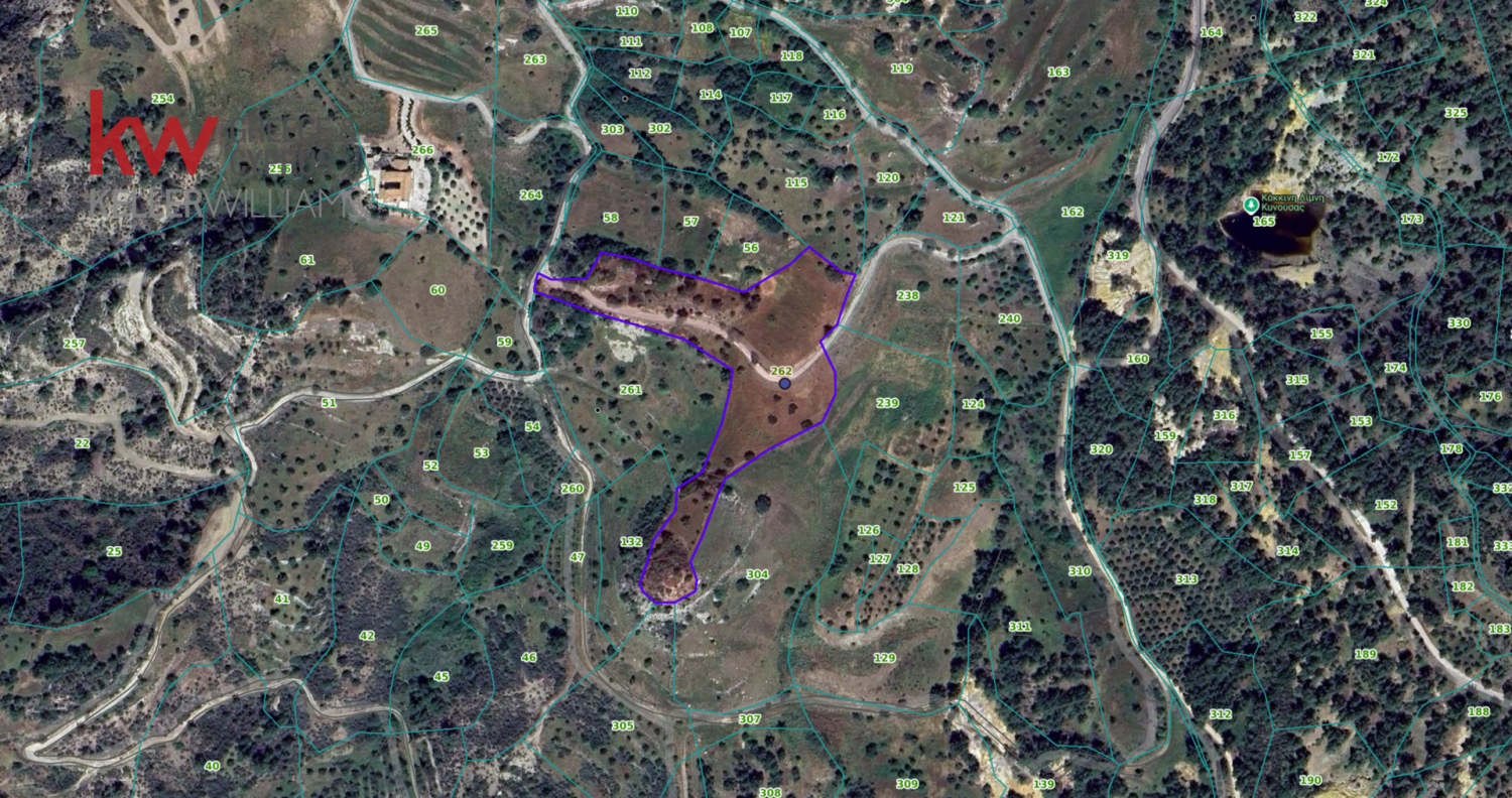 17262m2 Terrain à Kynousa, Paphos, Chypre No. 62322