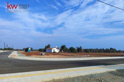 1642m2 Land in Mazotos, Larnaka, Cyprus No. 56698