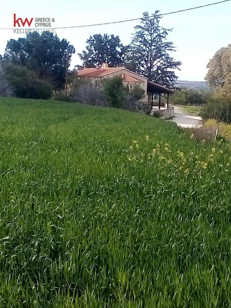 Земельный участок 21741м2 в Агиа Варвара, Никосия, Кипр № 40216
