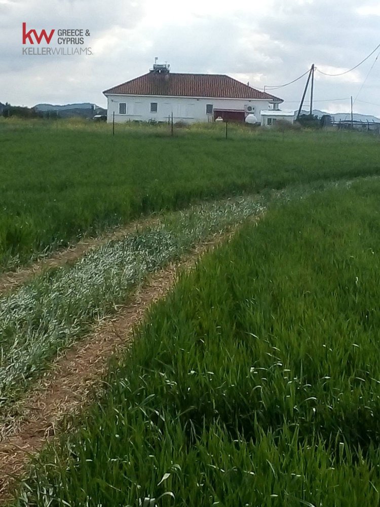 Земельный участок 21741м2 в Агиа Варвара, Никосия, Кипр № 40216