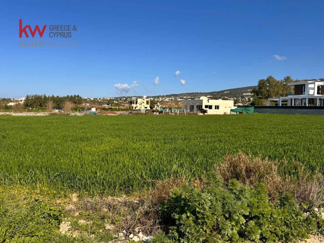 4255m2 Land in Pegeia, Paphos, Cyprus No. 61179