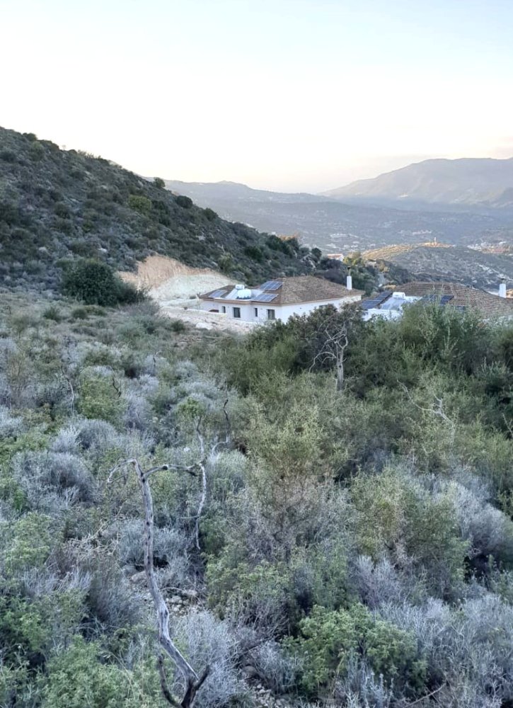 53961m2 Land in Foinikaria, Limassol, Cyprus No. 62217