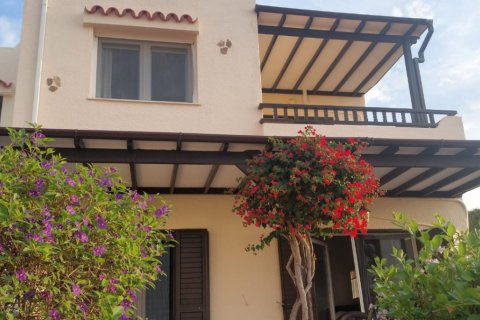 2 bedrooms Townhouse in Chloraka, Paphos, Cyprus No. 62500