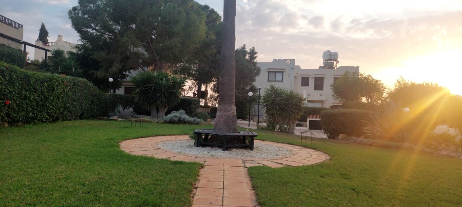 2 bedrooms Townhouse in Chloraka, Paphos, Cyprus No. 62500
