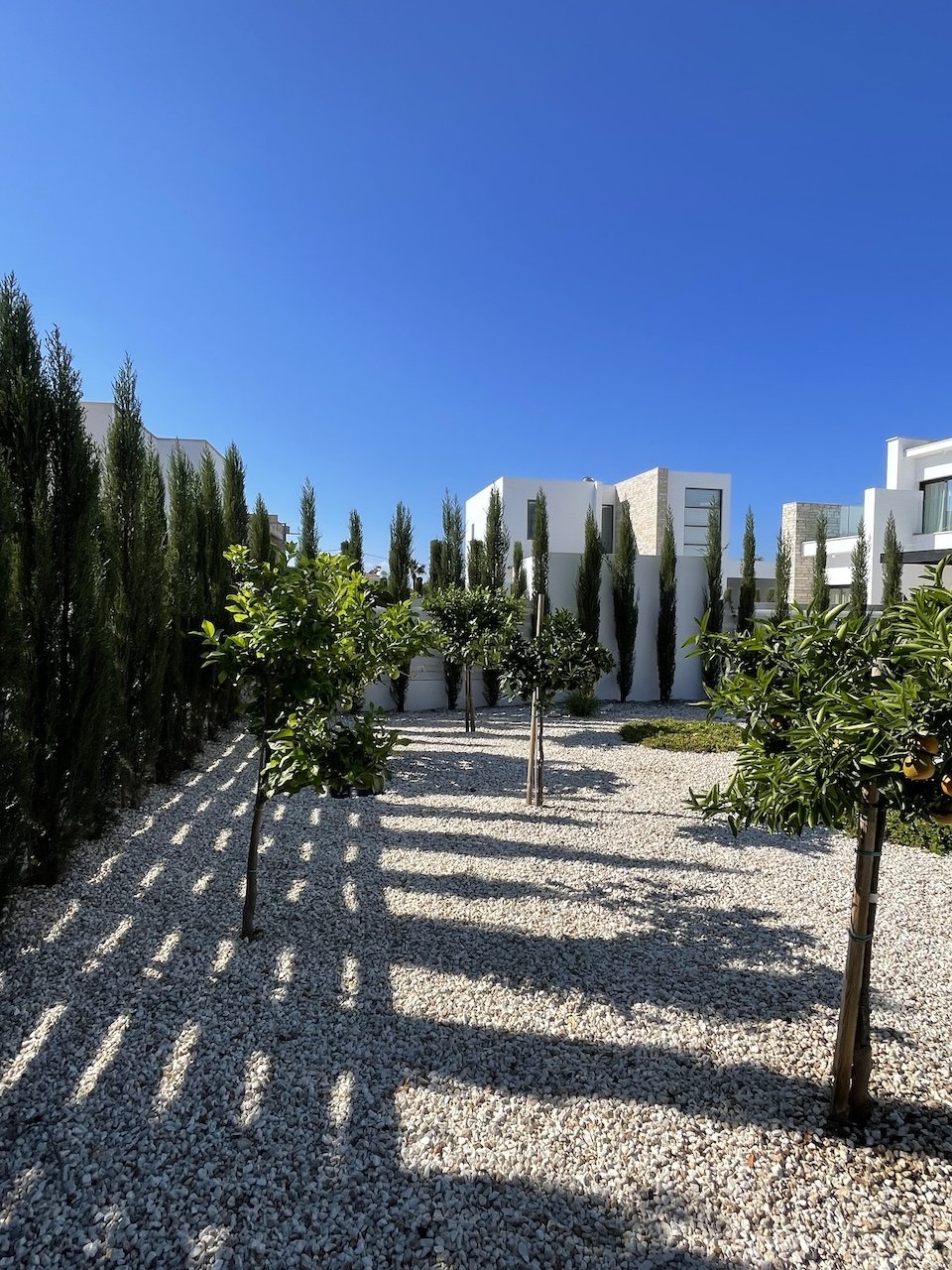 4 bedrooms Villa in Paphos, Cyprus No. 35666