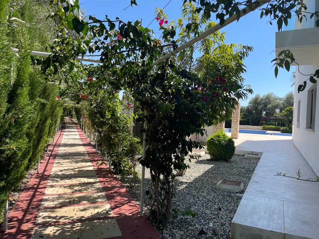 3 dormitorios Villa en Pegeia, Paphos, Chipre No. 57358