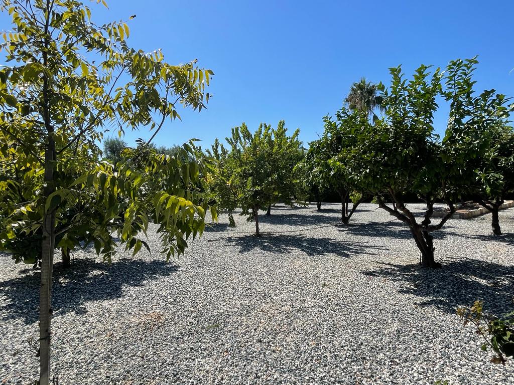 3 dormitorios Villa en Pegeia, Paphos, Chipre No. 57358